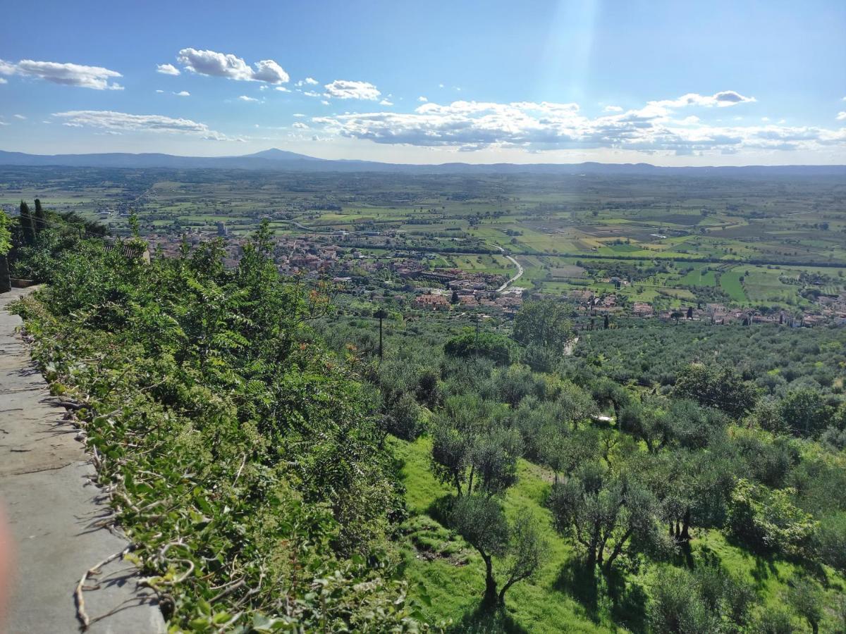 Valle Dame Cortona Exteriör bild