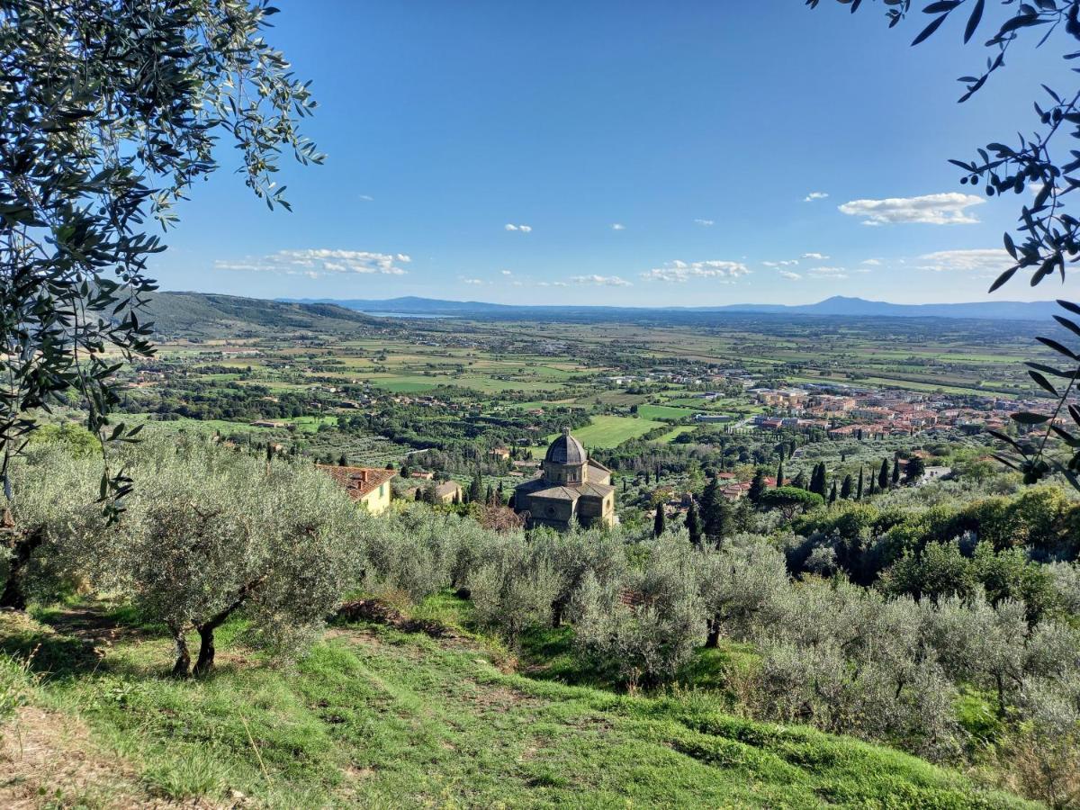 Valle Dame Cortona Exteriör bild