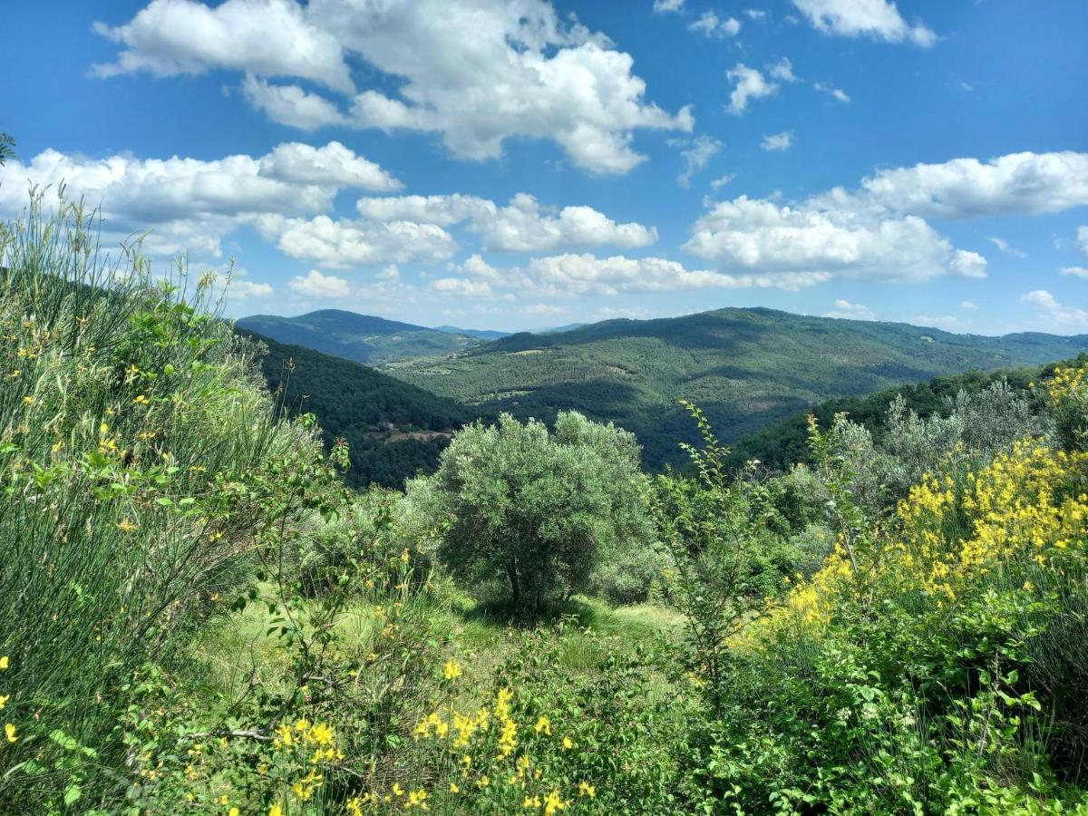 Valle Dame Cortona Exteriör bild