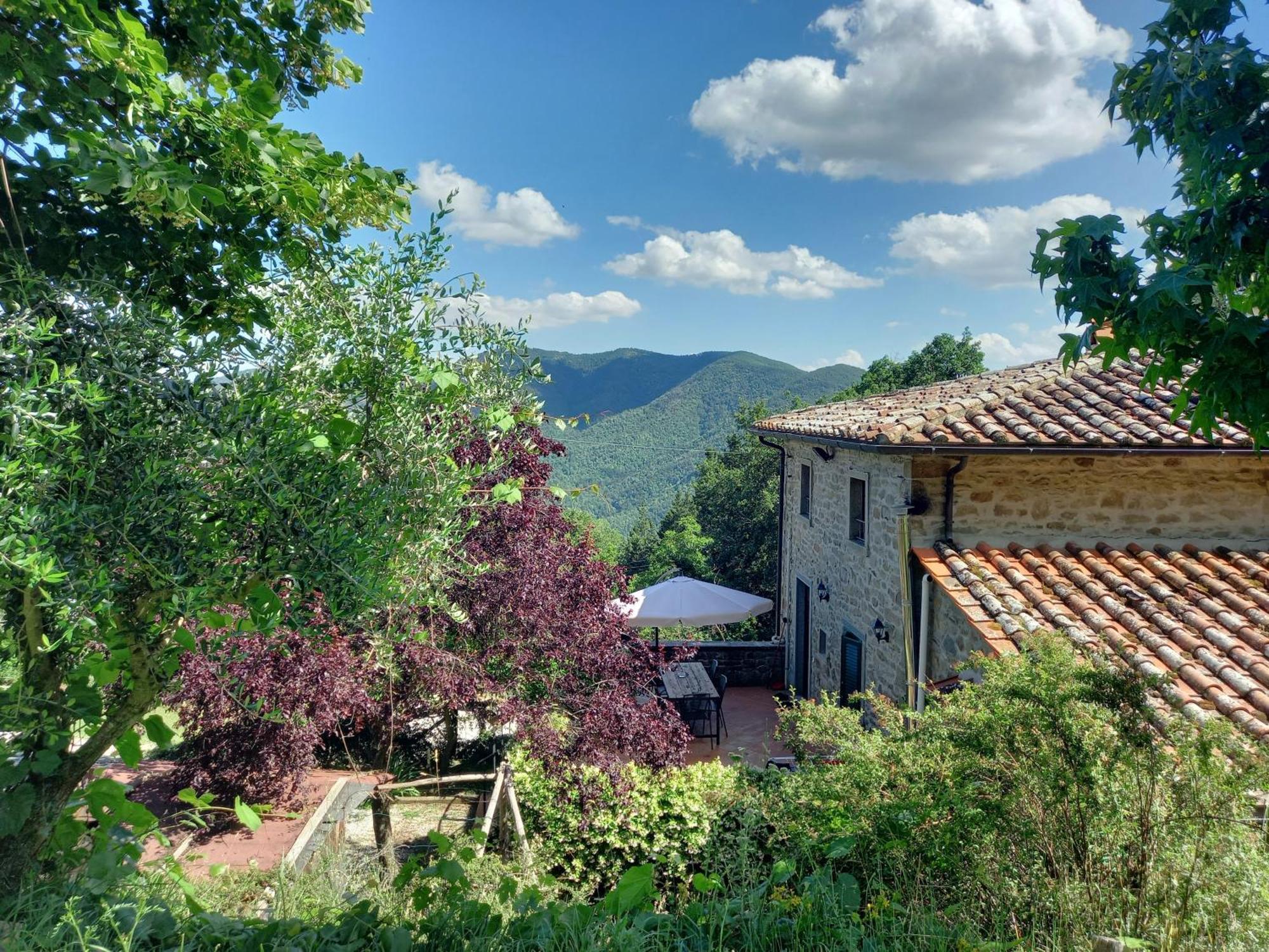 Valle Dame Cortona Exteriör bild