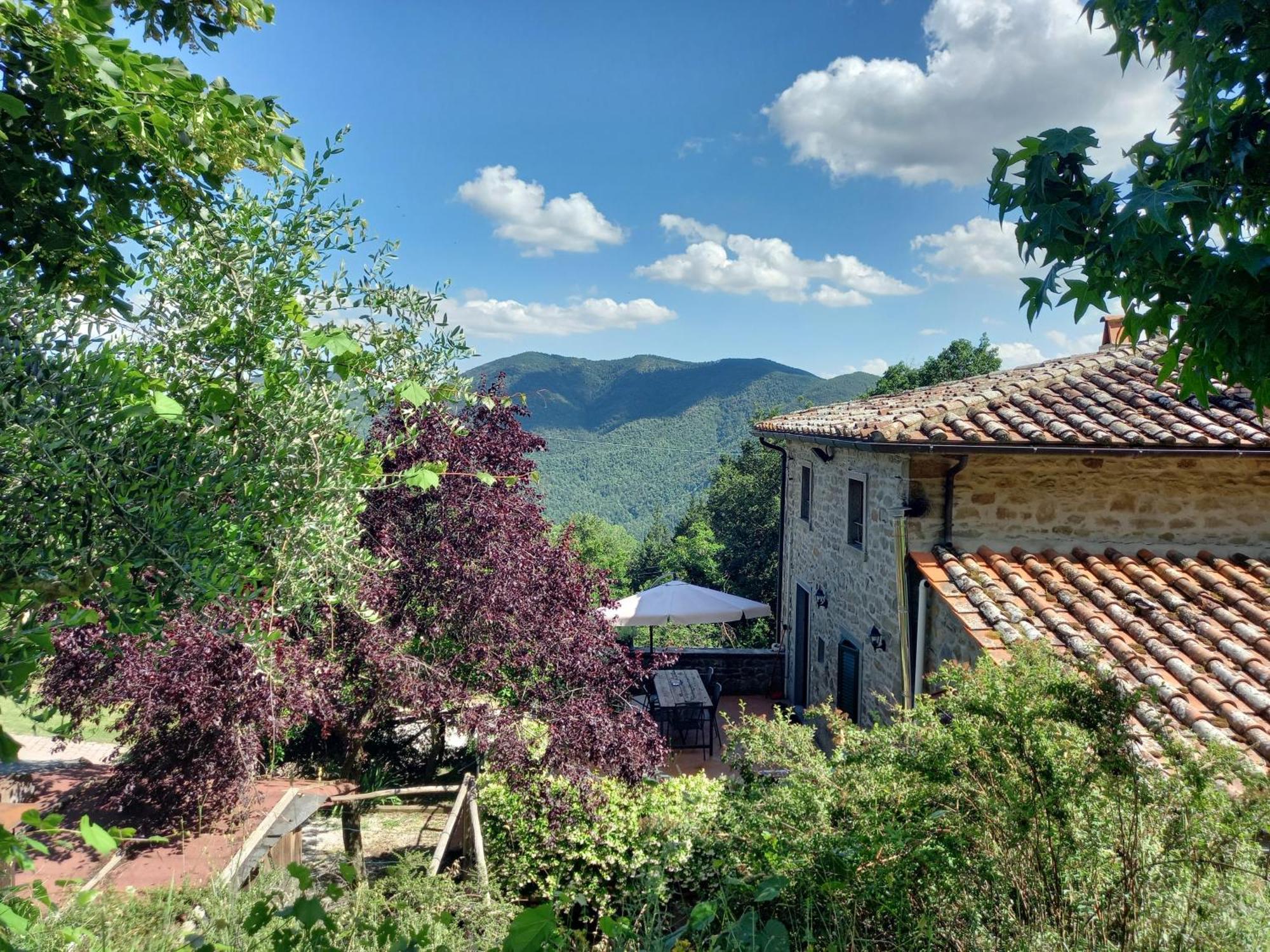 Valle Dame Cortona Exteriör bild