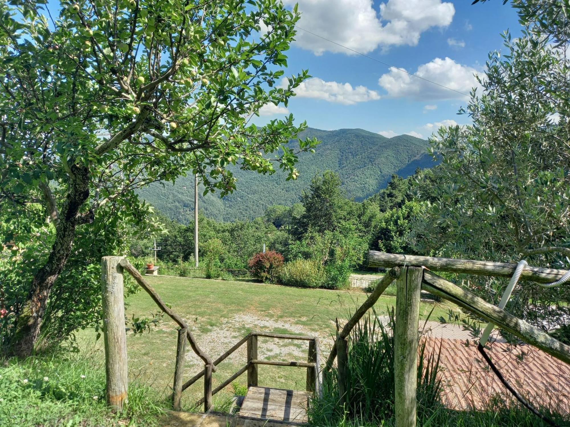 Valle Dame Cortona Exteriör bild