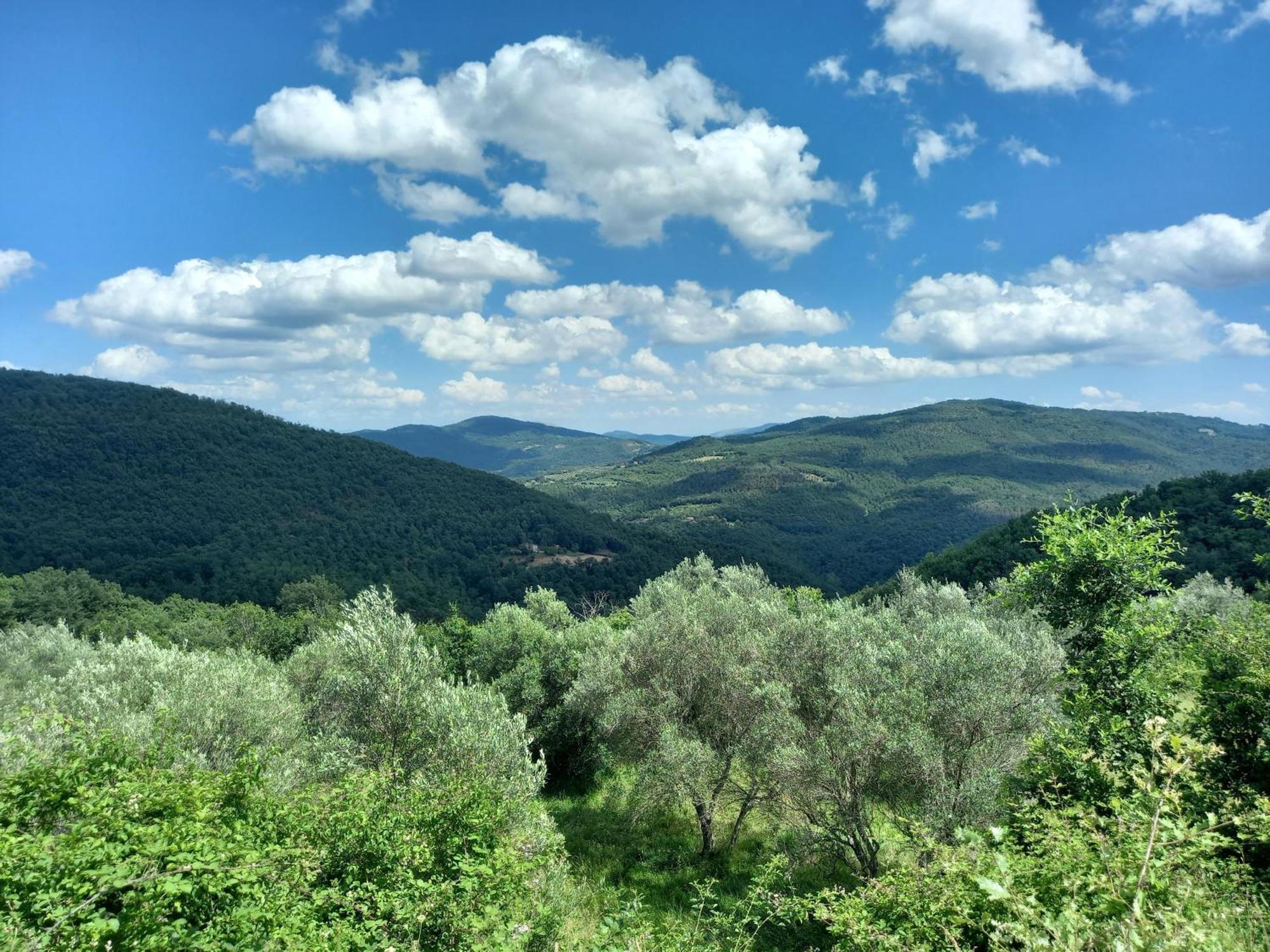 Valle Dame Cortona Exteriör bild