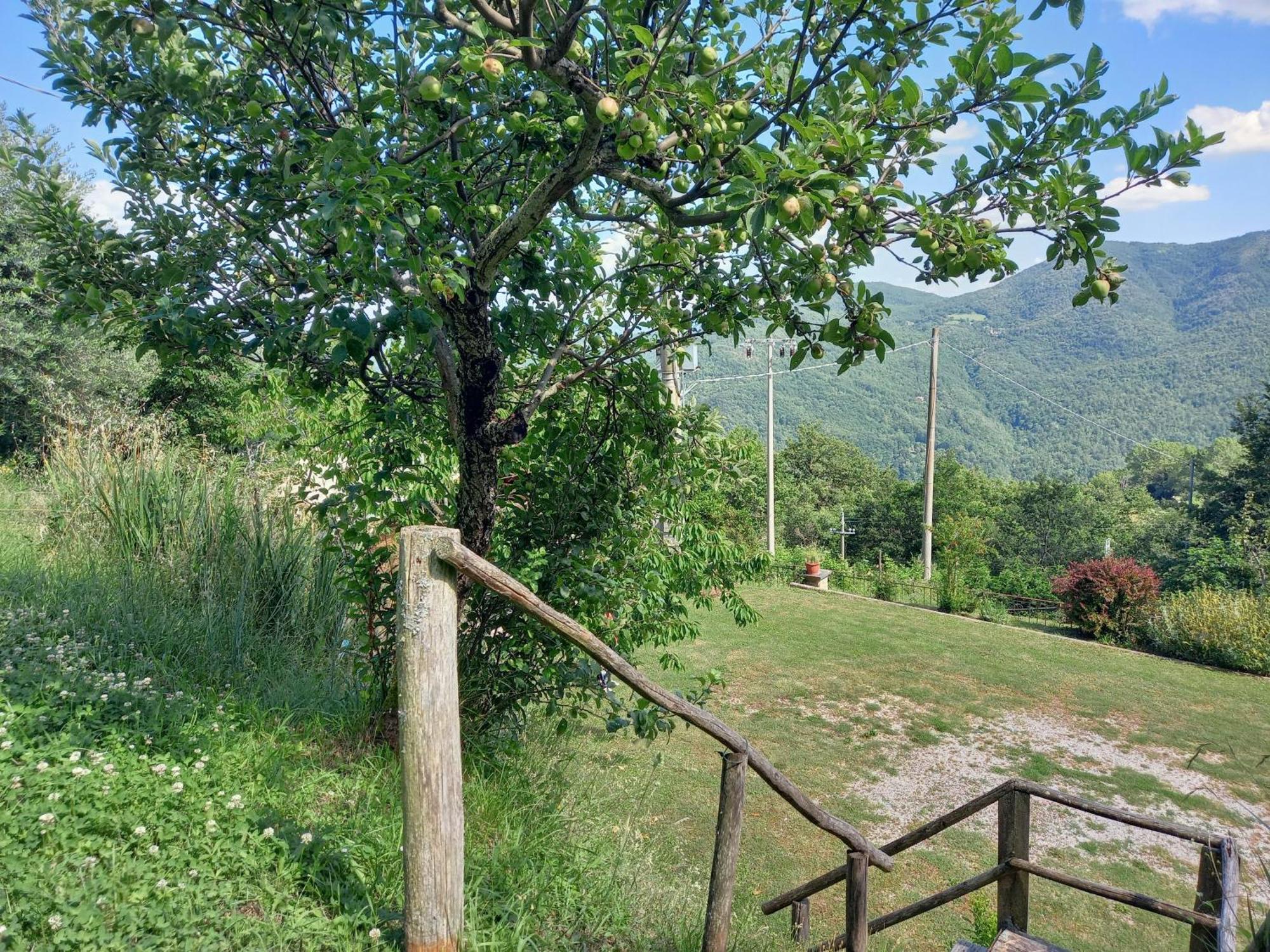 Valle Dame Cortona Exteriör bild