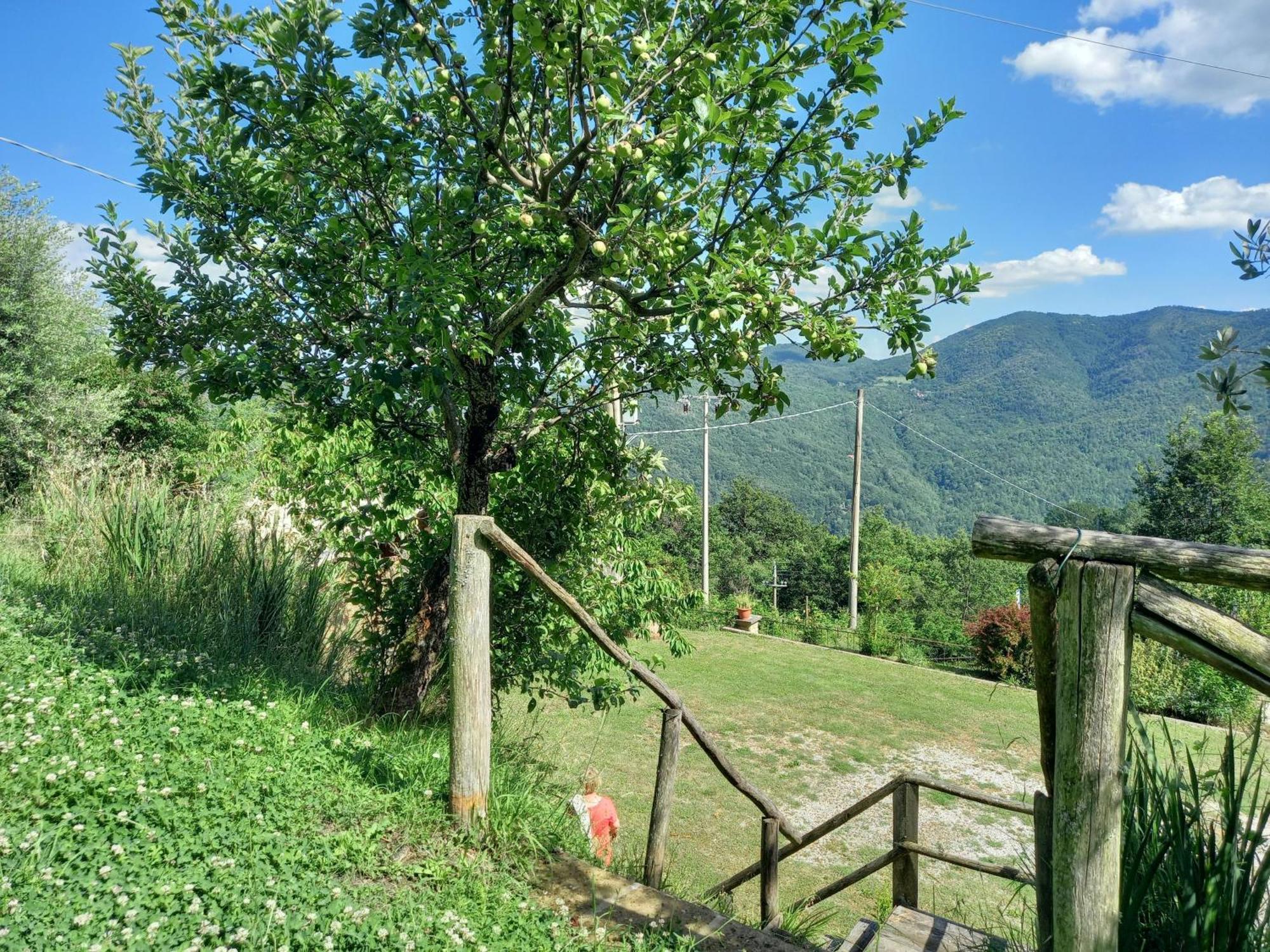 Valle Dame Cortona Exteriör bild