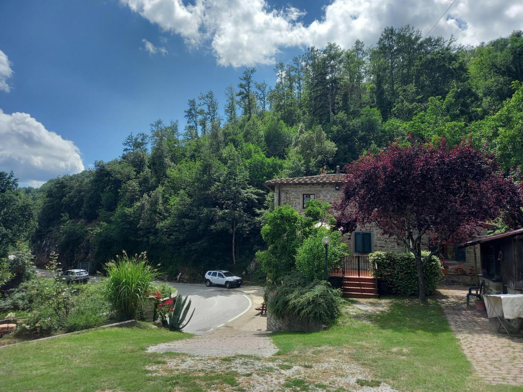 Valle Dame Cortona Exteriör bild